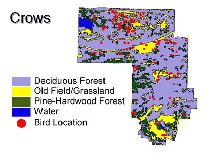 CRcowbirdmap