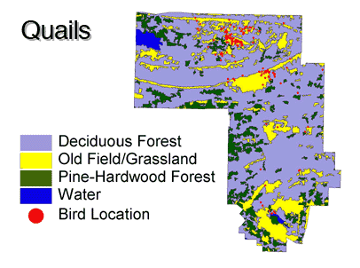 CRquailmap