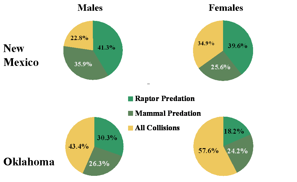 morality graph