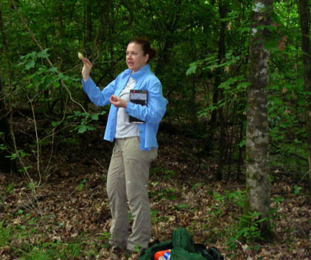 Mia Revels prepares to capture a male Swainson's Warbler using a decoy. Photo by Eric Enwall.