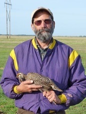 Wildlife biologist Gary Huschle with a male prairie- chicken after removal from a walk-in trap. Gary has assisted with STCP research efforts for over a decade.