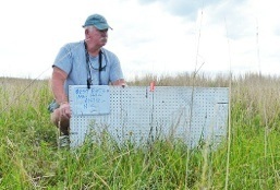 Dr. Joe Flanagan, DVM, Director of Veterinary Services, Houston Zoo assists with a “white board” used to measure and document vegetation at a nest site.