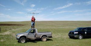 Dr. Toepfer tracking greater prairie-chickens in Nebraska to collect eggs for the breeding facility 