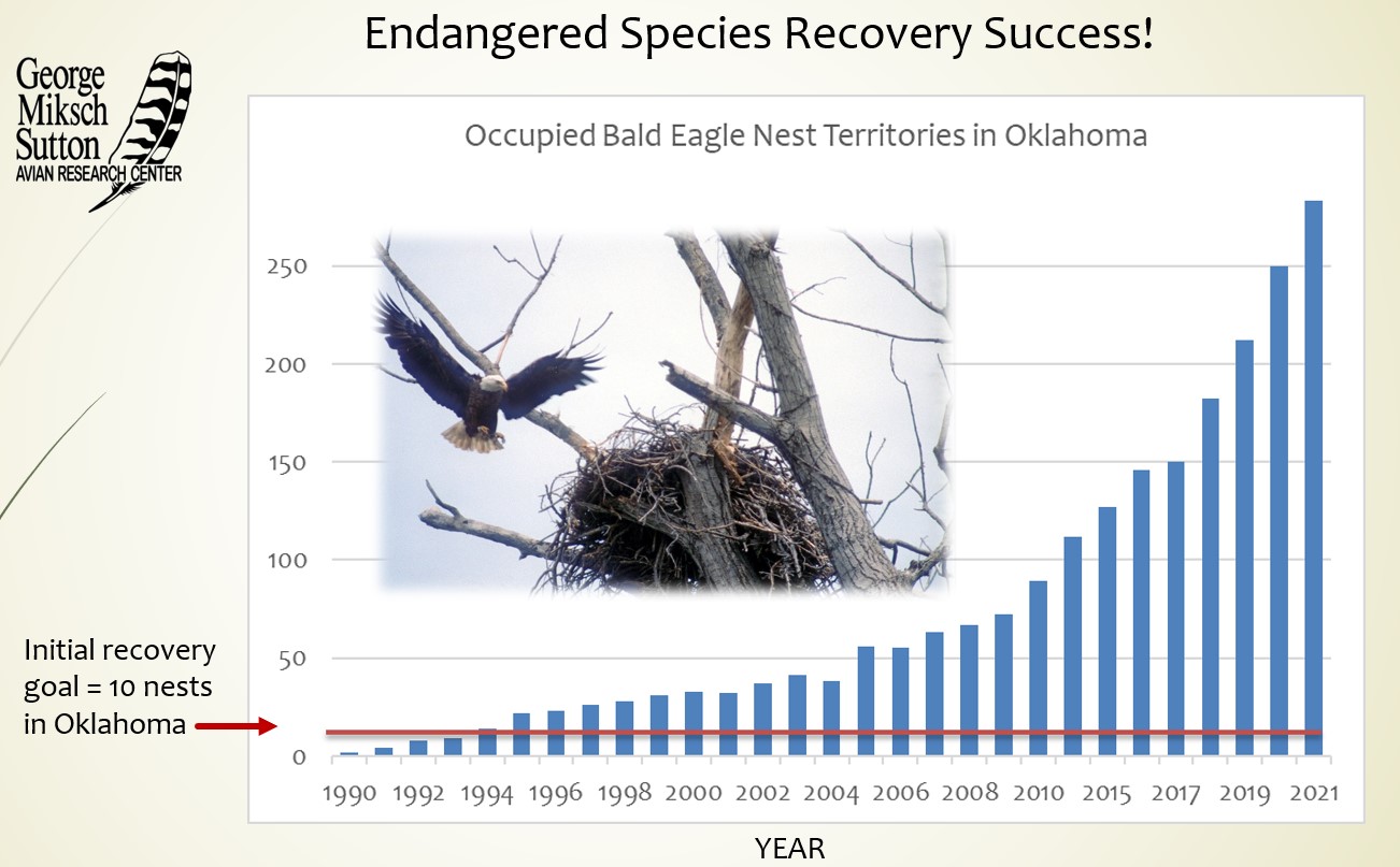 Bald Eagle Recovery – Sutton Center